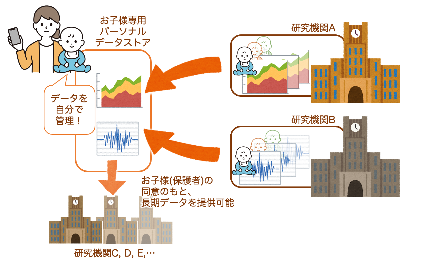 赤ちゃん研究員